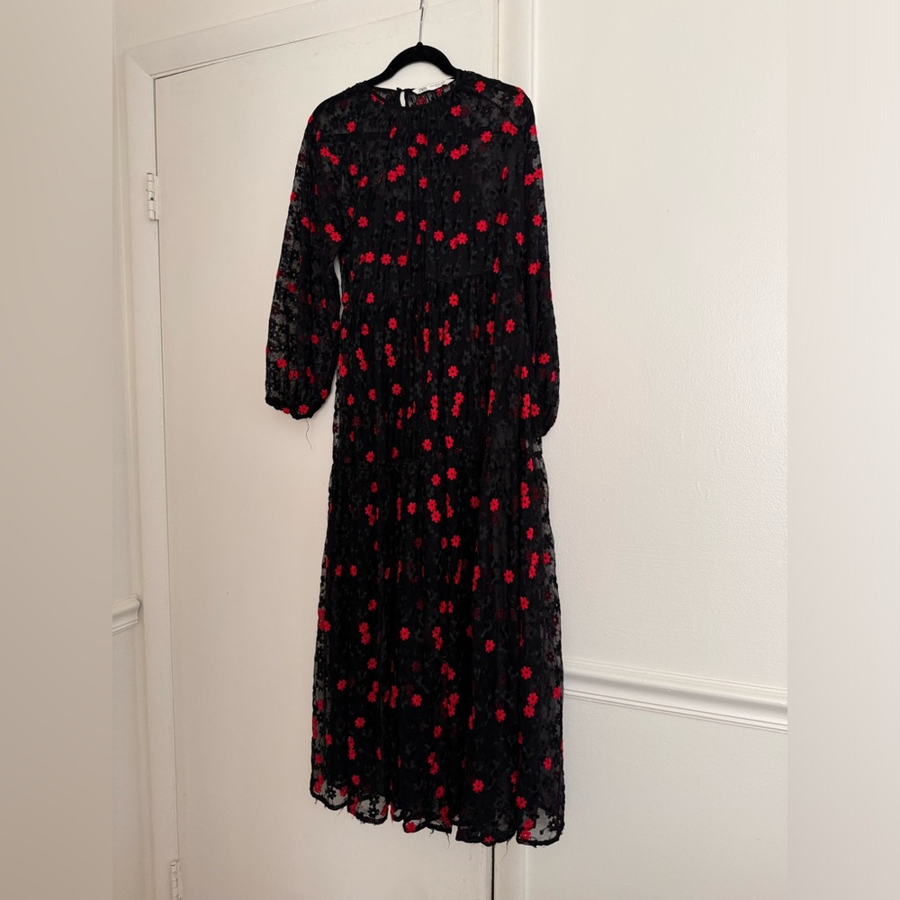 Zara sheer maxi dress